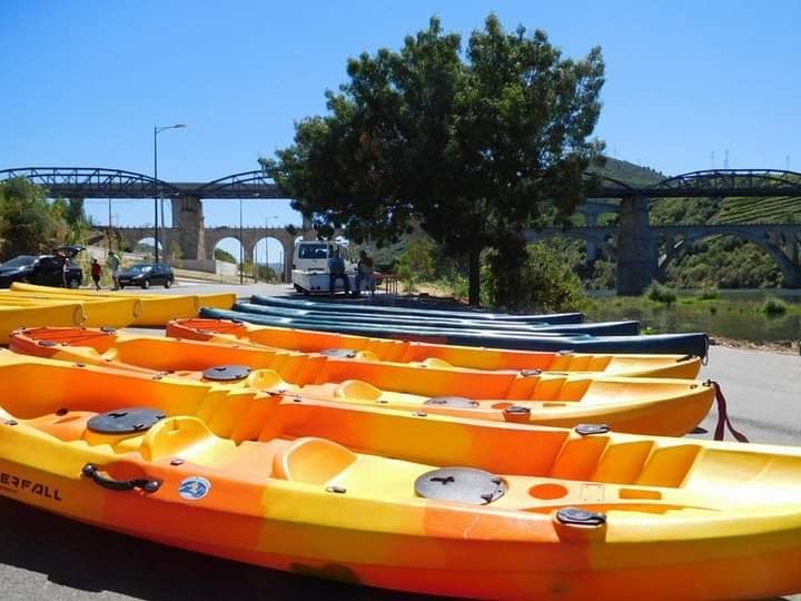 Kayaks na margem do Douro, em Peso da Régua